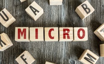 micro business loans