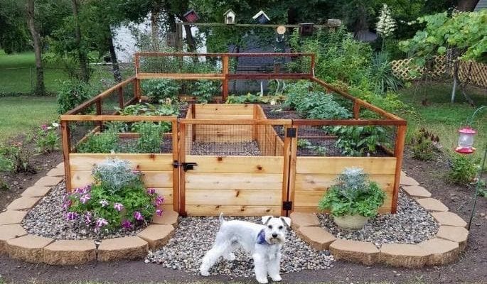 Garden Fencing for Dogs